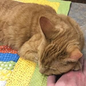 Meet your Posher, Sean